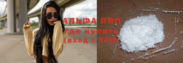 PSILOCYBIN Гусиноозёрск
