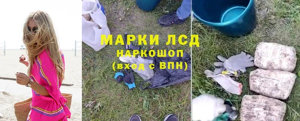 PSILOCYBIN Гусиноозёрск