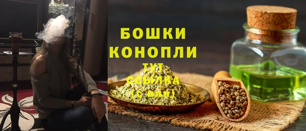 PSILOCYBIN Гусиноозёрск